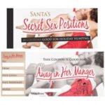 Santa's Secret Sex Position Coupons - Image 2