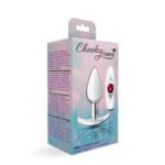 Cheeky Charms Silver Anchor Anal Plug Kit – Clear Iridescent and Pink - Image 7