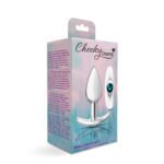 Cheeky Charms Silver Anchor Anal Plug Kit – Clear Iridescent/Teal - Image 7
