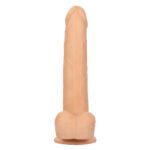 Size Queen 8 inch/20.25 Cm - Ivory - Image 4