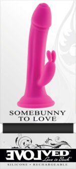 Somebunny to Love - Pink - Image 9