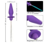 Southern Lights - Vibrating Light Up Anal Probe - Purple - Image 4