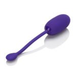 Rechargeable Kegel Ball Starter – Purple Silicone - Image 6
