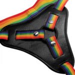 Take the Rainbow Universal Harness – Rainbow - Image 4
