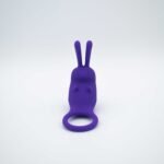 The Cock Hopper Cock Ring and Bullet Vibrator - Image 4