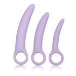 Dr. Laura Berman Alena Set of 3 Silicone Dilators - Image 2