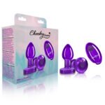 Cheeky Charms Vibrating Purple Metal Anal Plug – Small - Image 2