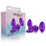 Vibrating Purple Metal Remote Plug - Small