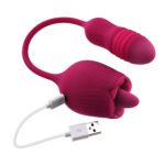 Wild Rose Red Dual-Ended Vibrator with Bullet and Rose Stimulator – Rechargeable - Image 6