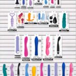 Evolved Best Sellers Bundle