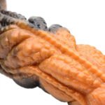 Ravager Rippled Tentacle Silicone Dildo - Image 3