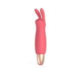 Adam & Eve Playful Seduction Kit - Image 4