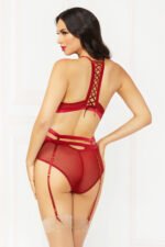 Applique & Mesh Bra Set - Large - Burgundy - Image 2