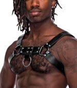 Aries Leather Harness - One Size - Black - Image 2
