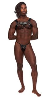 Aries Leather Harness - One Size - Black - Image 6
