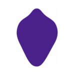 Banana Pants HoneyBunch Purple - Image 4