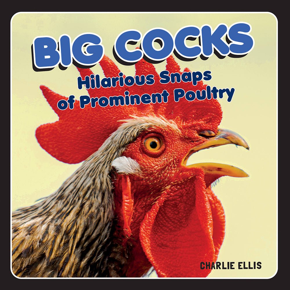 big-cocks-hilarious-snaps-of-prominent-poultry Big Cocks: Hilarious Snaps of Prominent Poultry - Image 1