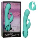 California Dreaming Tahoe Temptation - Image 2