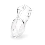 CB-6000 Clear Male Chastity - Image 4