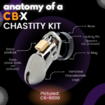 CB-6000S Clear Male Chastity - Image 10