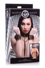 Coax Collar to Wrist Restraints - Image 5