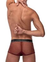 Cock Pit Net Mini Cock Ring Short - Small - Burgundy - Image 8