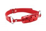 Cylinder Gag with Leather Straps – Red - Image 2