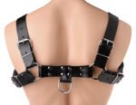 English Bull Dog Harness - Image 2