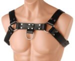 English Bull Dog Harness - Image 3
