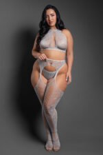 Fantasy Lingerie Sheer Most Wanted Halter Top, G-String & Gartered Stockings Set – Gray, Queen - Image 2