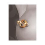 Fetish Fantasy Gold Magnetic Nipple Clamps - Image 3