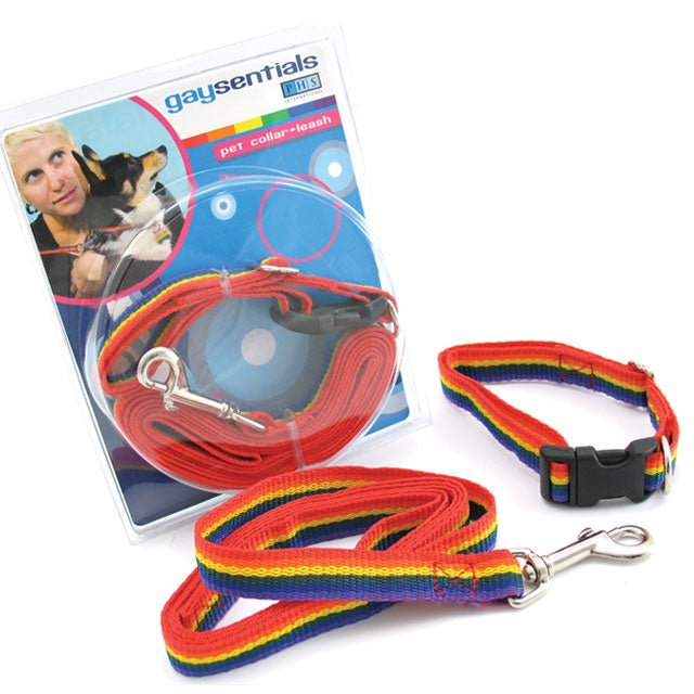 gs-pet-combo-leashcollar-medium GS Pet Combo Leash/Collar (Medium) - Image 1