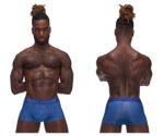 Sexagon Mini Short - Large - Royal - Image 7