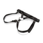 Her Royal Harness the Duchess - Boxed - Image 2