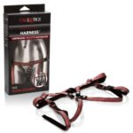 Her Royal Harness the Regal Duchess - Red - Image 4