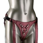 Her Royal Harness the Regal Queen - Red - Image 4