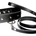 Leather Collar and Leash Set