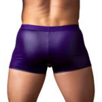 Male Power Eggplant Crossover Short Plum M - Image 3