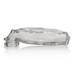 Miguel Cocksheath With Adjustable Fit - Clear - Image 7