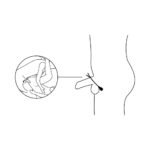 Nexus Forge Adjustable Vibrating Cock Ring – Black - Image 8