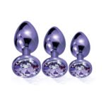 Nixie Metal Butt Plug Trainer Set 3-Piece Purple Metallic - Image 3