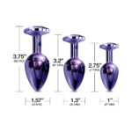Nixie Metal Butt Plug Trainer Set 3-Piece Purple Metallic - Image 4