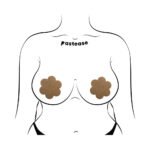 Pastease Everyday Reusable Flower Pasties Honey - Image 4