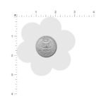 Pastease Everyday Reusable Flower Pasties Honey - Image 5