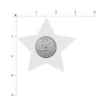 Pastease Everyday Reusable Glittering Silver Star Nipple Pasties - Image 3