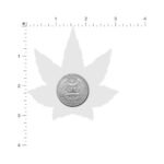 Pastease Indica Pot Leaf: Green Weed Nipple Pasties - Image 4