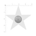 Pastease Nautical Star Military Multi-Cam Camouflage Nipple Pasties - Image 4