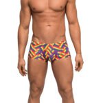 Pride Fest - Mini Short - Large - Print