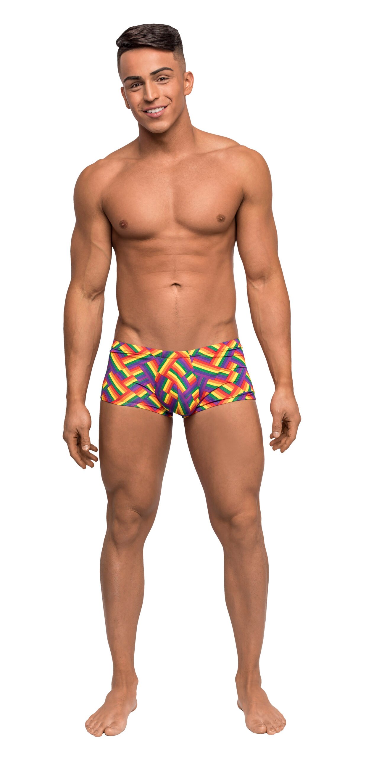 pride-fest-mini-short-large-print Pride Fest - Mini Short - Large - Print - Image 1