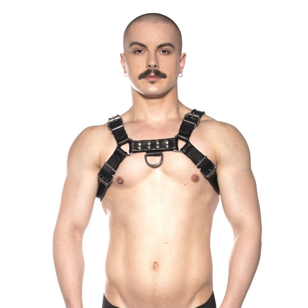 prowler-red-bull-harness-black-m Prowler RED Bull Harness Black M - Image 1